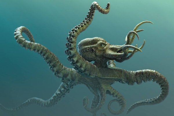 Кракен даркнет kraken link24 info